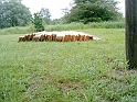20100604 013